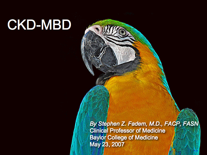 CKD-MBD (2007) preview