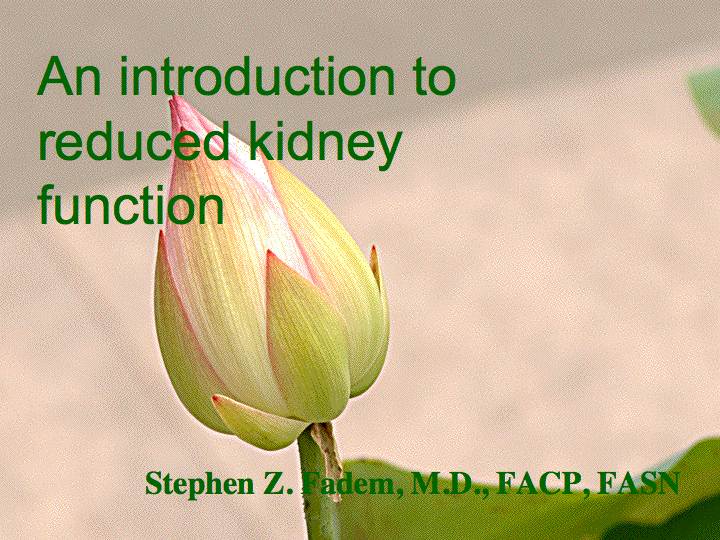 Preventing Kidney Failure preview
